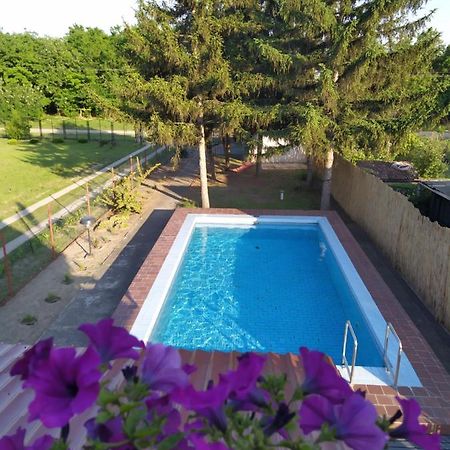 Blue Crystal Apartment Subotica Bagian luar foto