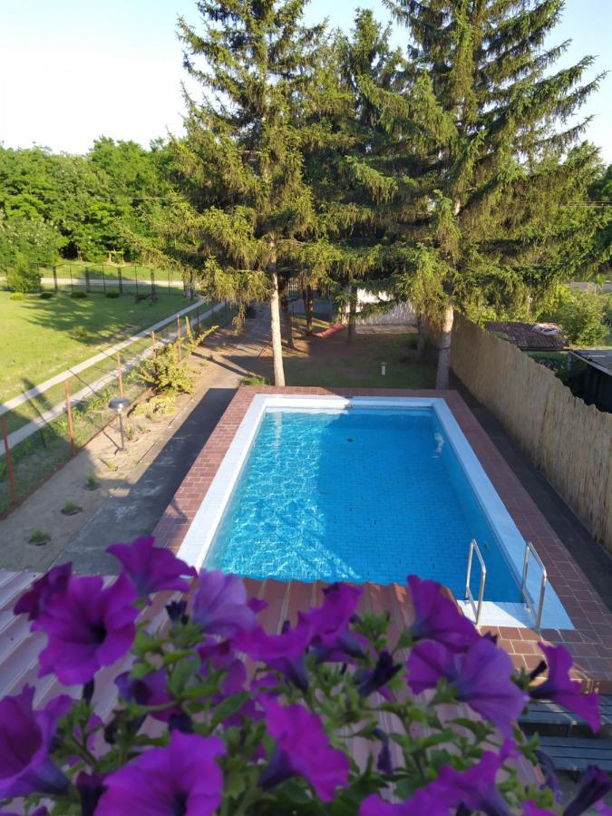 Blue Crystal Apartment Subotica Bagian luar foto